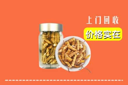 自贡市回收散虫草