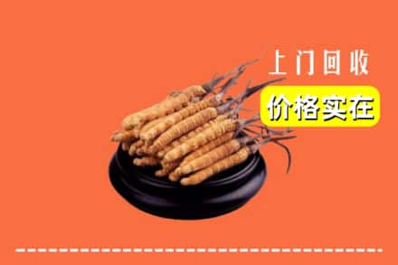 自贡市回收冬虫夏草