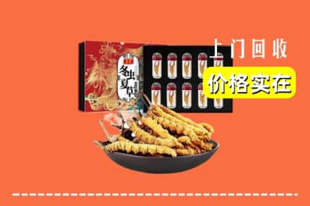 自贡市回收虫草