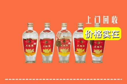 自贡市回收老五粮液